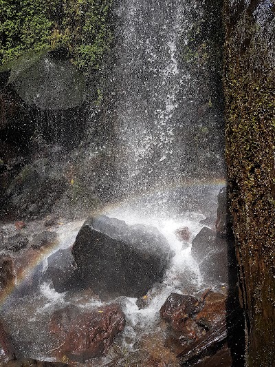 Photos of Catarata Bosque del Ni&ntilde;o
