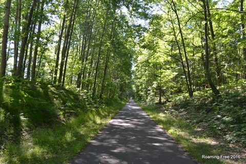 Shady section of trail