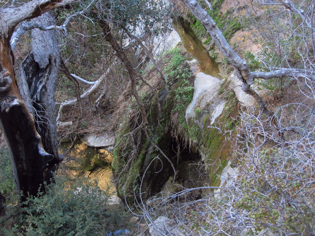 small waterfal off to the side of the trail