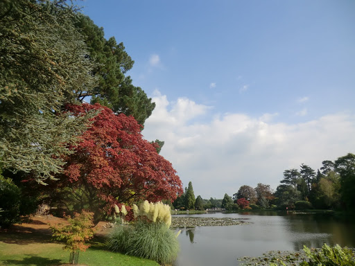 CIMG4772 Ten Foot Pond, Sheffield Park and Garden