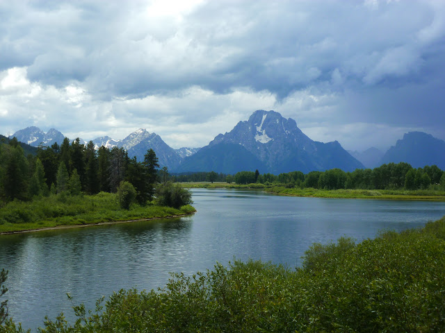 Vuelo a Jackson Hole. PN de Grand Teton. Llegada a PN Yellowstone. 11 Julio. - LAS ROCOSAS DE CANADA. YELLOWSTONE Y GRAND TETON. (15)