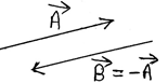 Vectors Class 11 Physics | Notes