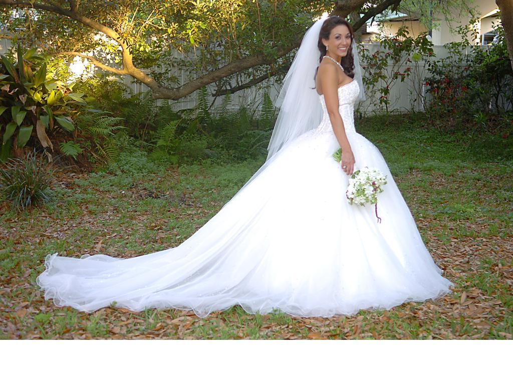 demetrios wedding dress