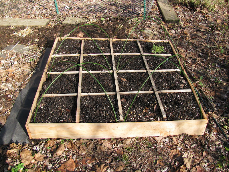 4x4 SFG cold frame experiment IMG_3532