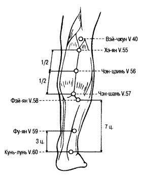 Версия 3.5 точка. BL 40 точка bl40 акупунктурная. Вэй Чжун точка акупунктуры. Точка v40 Вэй-Чжун.