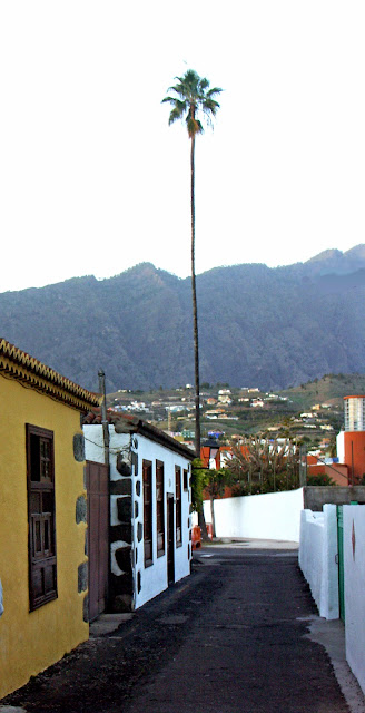 SENDERISMO TRANQUILO EN LA PALMA - Blogs de España - INTERIOR DE LA CALDERA: DESDE LOS BRECITOS AL BARRANCO DE LAS ANGUSTIAS (6)