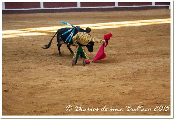 Toros Feria 2015-9871