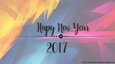 2017 New Year Celebrations