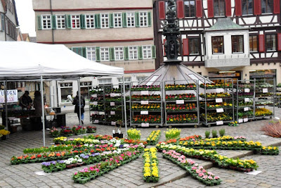 Farmer's Market, Tubingen