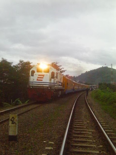 [Image: IMAG0037.JPG]