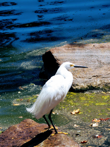 Park «Craig Regional Park», reviews and photos, 3300 N State College Blvd, Fullerton, CA 92835, USA