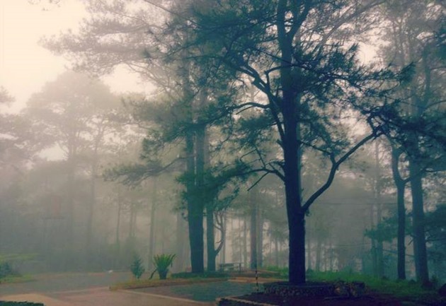 Baguio-City-On-A-Rainy-Day