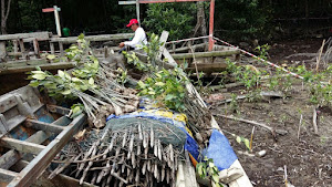 Timberland Earth Day 2015: Mangrove Clean-Up (CrE)