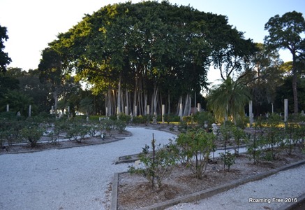 Mabel's Rose Garden