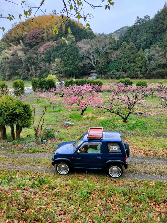 の投稿画像1枚目