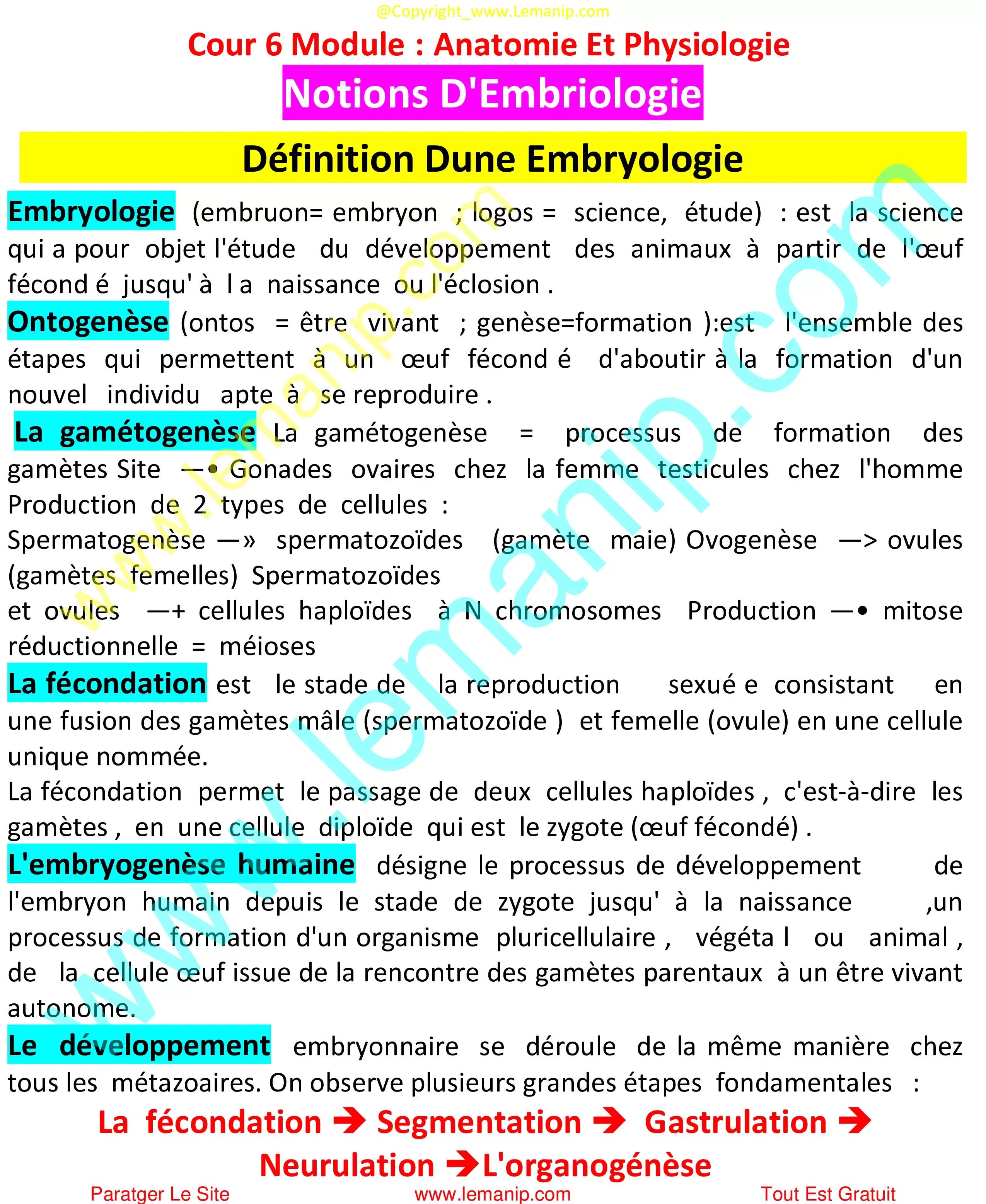 Embryologie