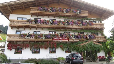 Photos of Hotel Pension Pinzgauer Hof Maria Alm