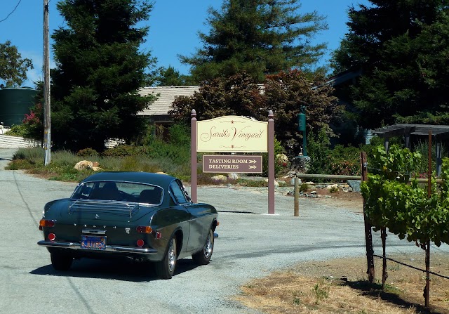 Sarah's Vineyard