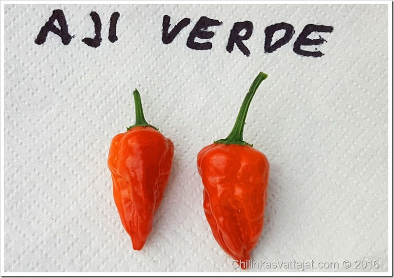 aji_verde