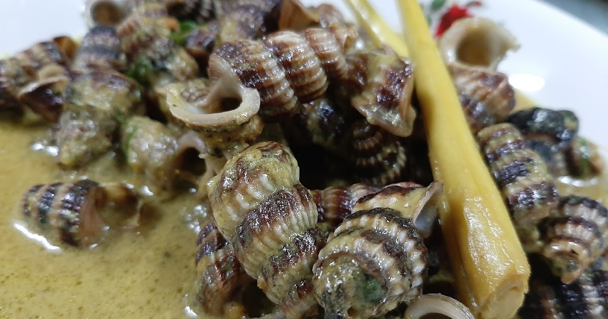 Nana Liena Resepi Siput  Sedut Masak Lemak Cili Padi  