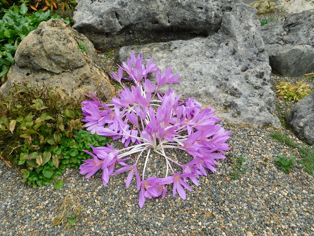 [DSCN62063]