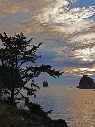 La Push Harbor