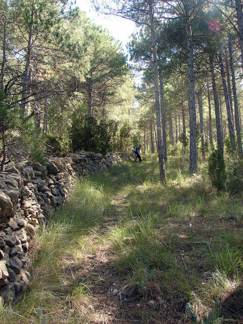 senderismo Castellfort Rambla Sellumbres