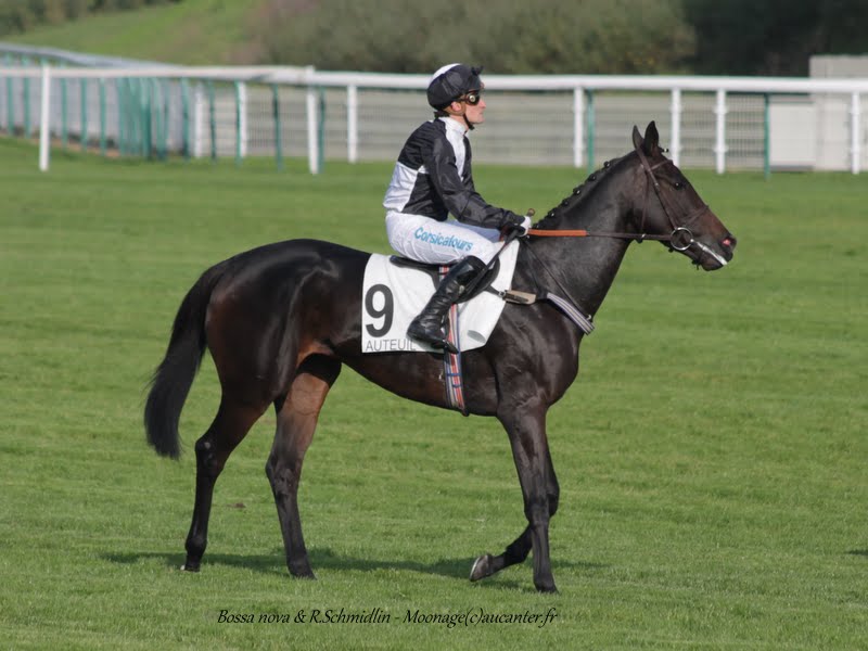 Photos Auteuil 11-10-2015 IMG_5358