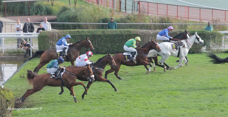 Photos Auteuil 8-11-2015 (48h de l'obstacle) IMG_6861