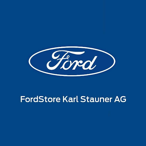 Ford Store Karl Stauner AG logo