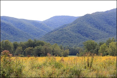 Cades Cove Loop