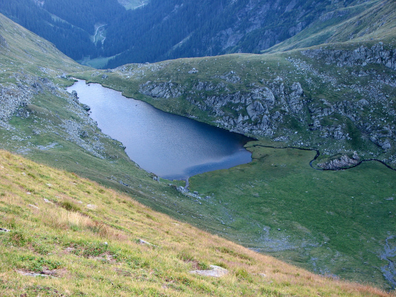 fagaras60.JPG