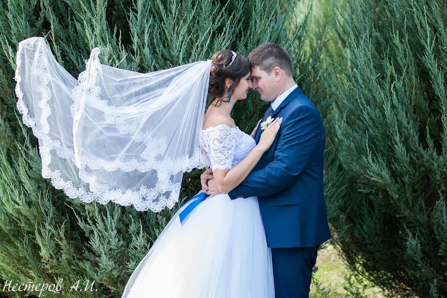 結婚式の写真家Aleksandr Nesterov (nesterov2012)。2015 10月12日の写真