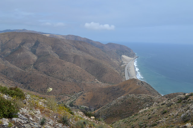 beach beside the mountains