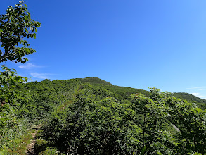 山頂部が近くに