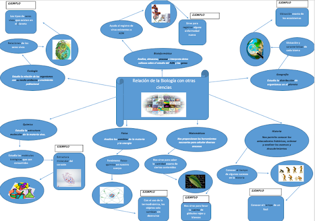 Tareas De Biología Mapa Mental 3 Relación De La Biología Con Otras