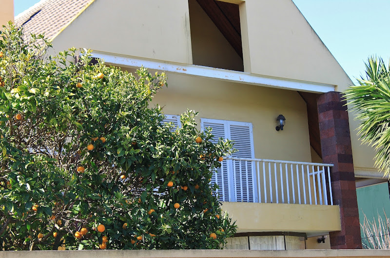 Круиз для лентяев и одиночек: Norwegian Spirit из Барселоны на Канары в январе 2013