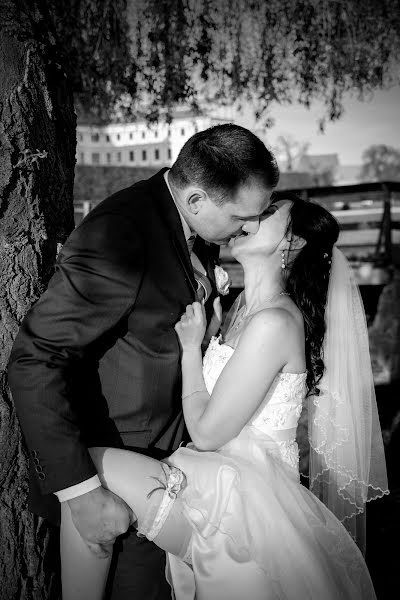 Fotógrafo de casamento Pavel Křeček (pavelk). Foto de 14 de maio 2019
