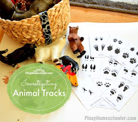 Investigating Animal Tracks and {Learn & Play Link Up}