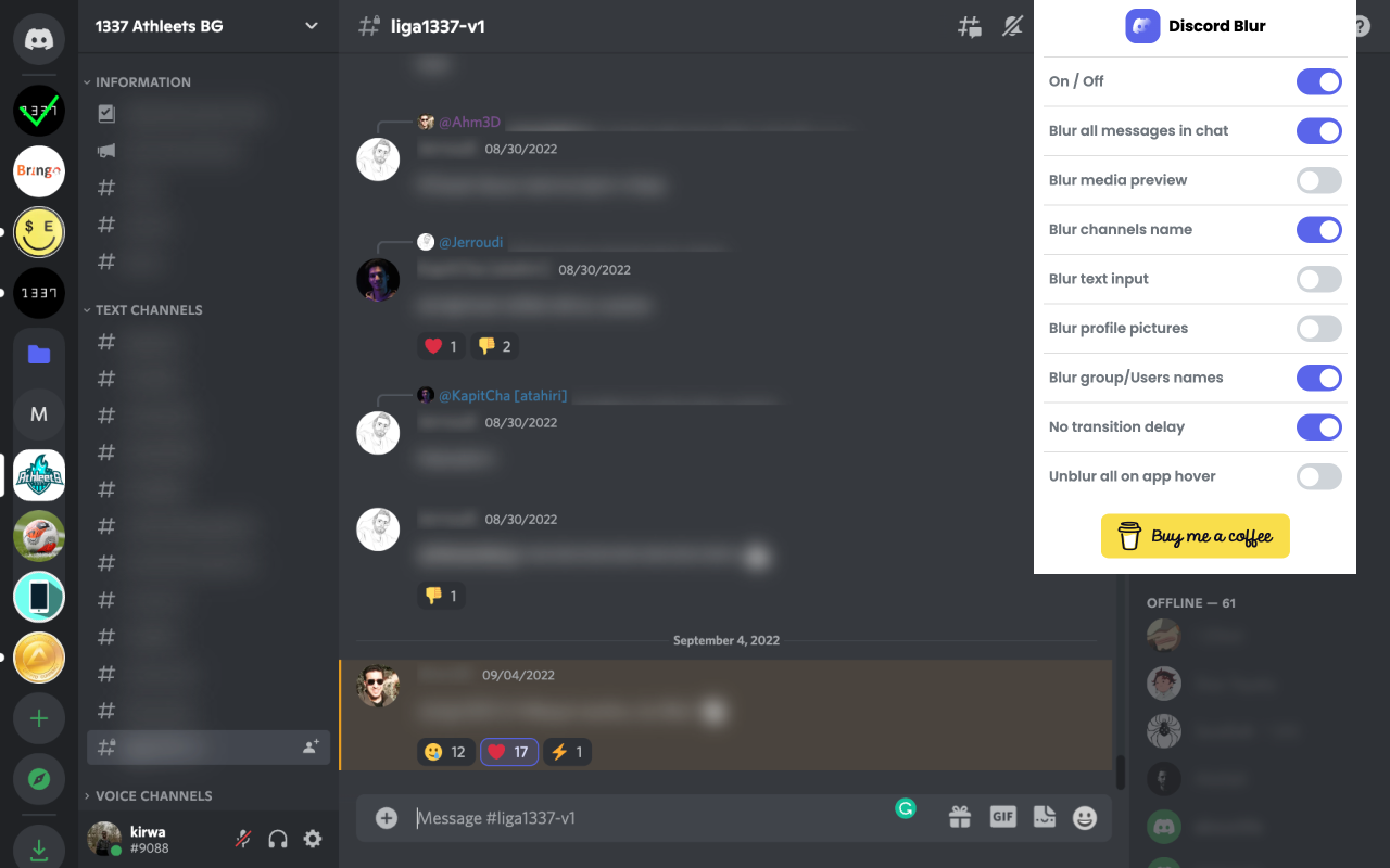 Discord Blur Preview image 2