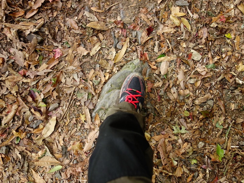 2013_1207 東滿步道→拉卡山→北插天山水源地_162