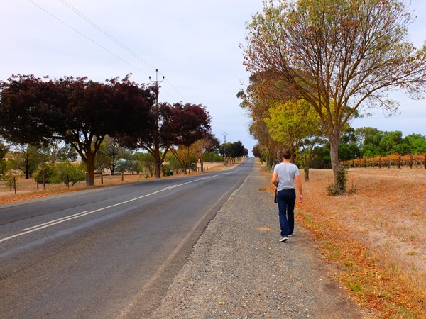 Wishful Thinking - South Australia