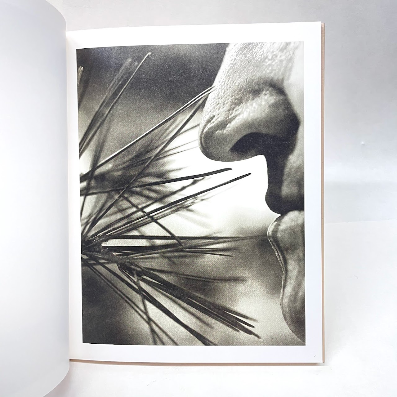 Koto Bolofo: La Maison (Hermès) RARE Book Set