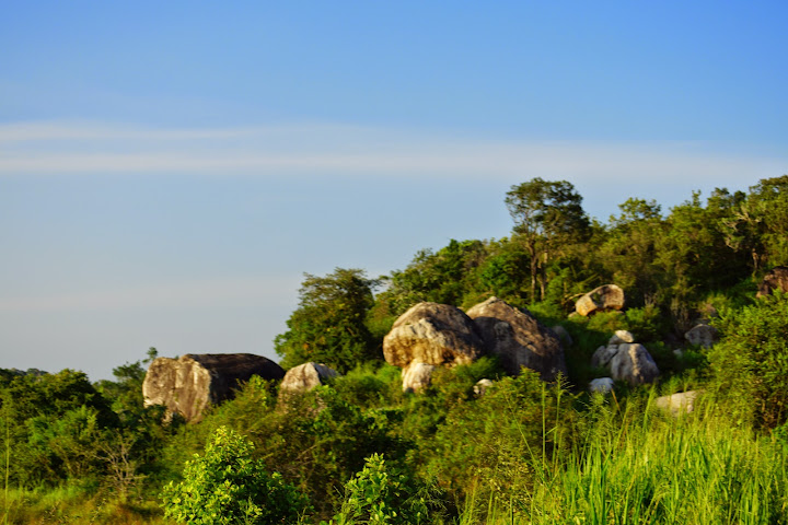 Шри-Ланка: на машине 1 100 км,  фото без комментариев, март-апрель 2013г.