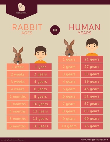 Rabbit Age Chart