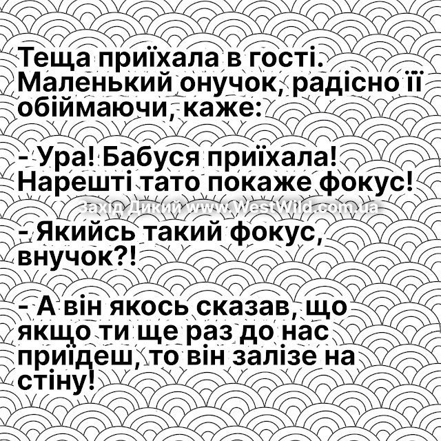 Анекдоти про тещу