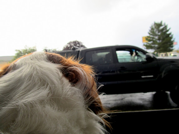 Torrey and Moki getting acquainted in Price before heading down to the Wedge