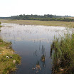 2012-09-09 12-53 takie mokradła w porze suchej to rzadkość.JPG