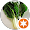 premium bokchoy