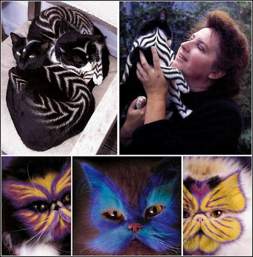 Кошачий бодиарт - Зона Твиста - alextwist.livejournal.com